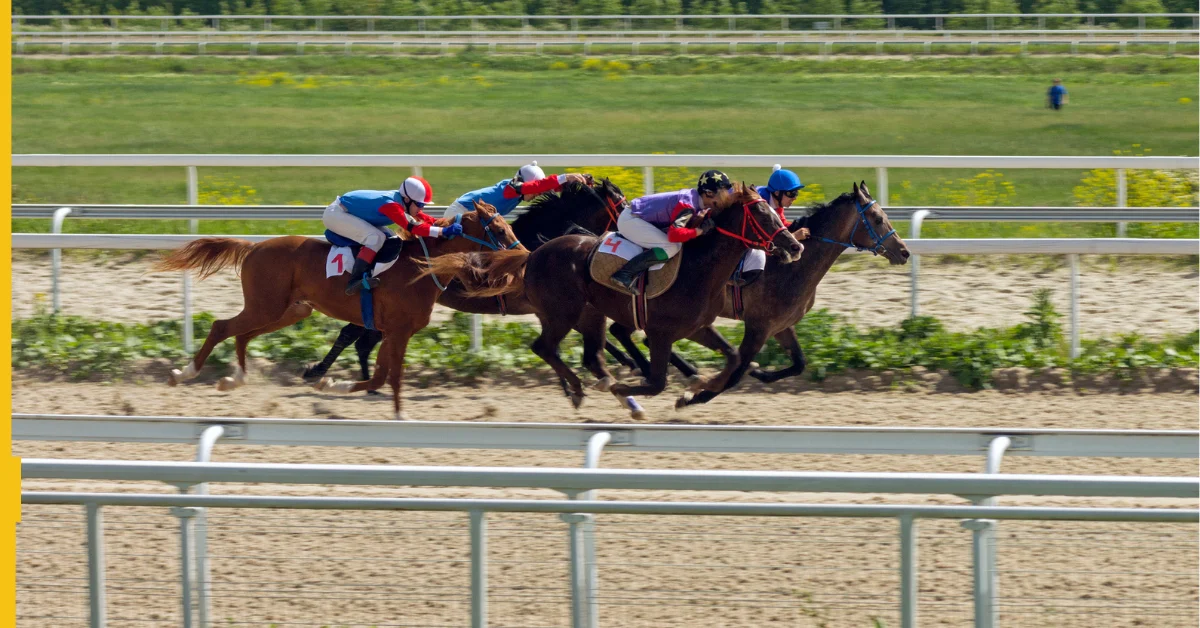 DraftKings launches online real-money parimutuel horse racing platform